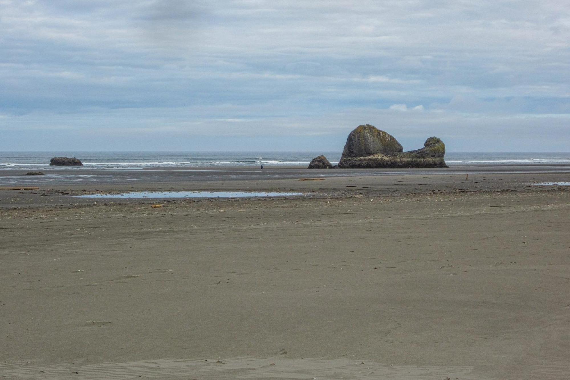 Rocks Cabin Copalis Beach Екстериор снимка
